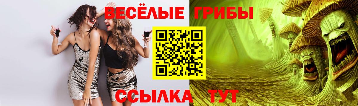 Борисоглебск  Галлюциногенные грибы Cubensis  Вход с VPN 